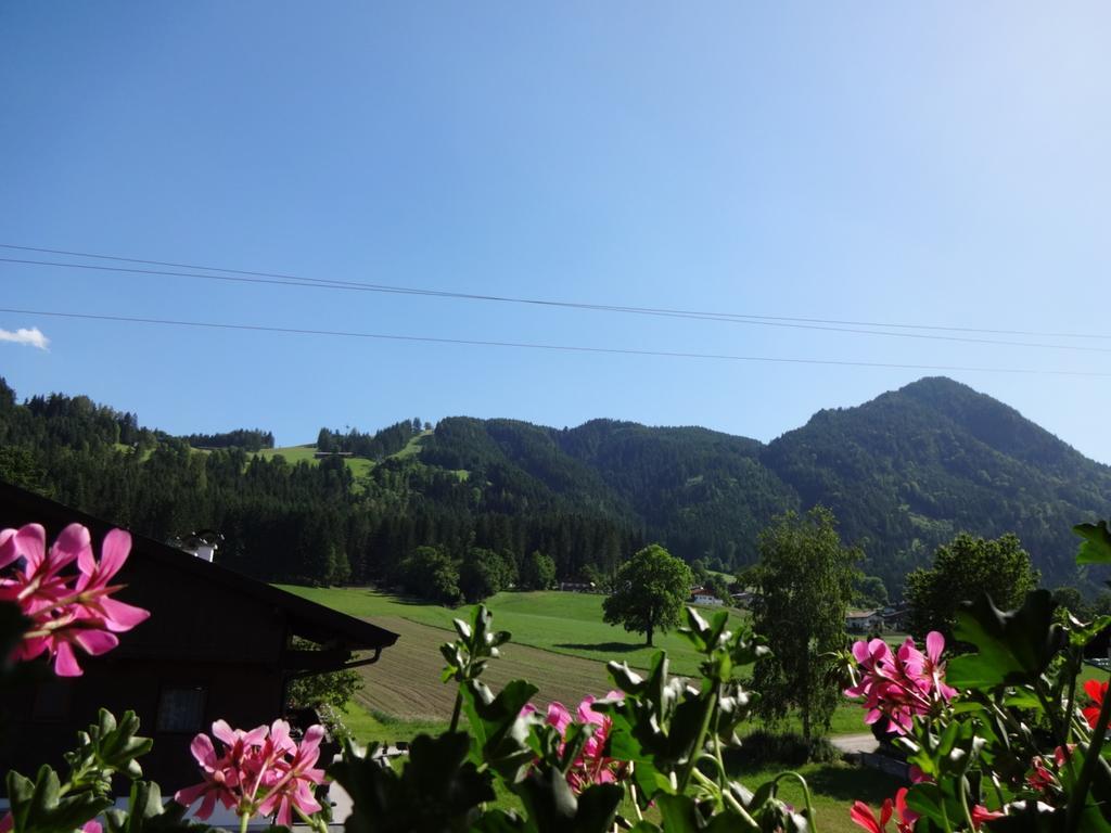 Apartmán Haus Sylvia Reith im Alpbachtal Pokoj fotografie